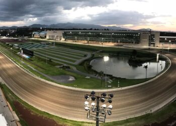 Investiga PAOT al Hipódromo de las Américas por realizar conciertos masivos