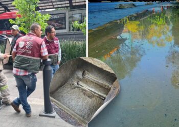 Conexión irregular provoca brote de aguas negras en Insurgentes Sur, CDMX