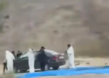 Localizan nueve cuerpos descuartizados en límites de Oaxaca y Puebla