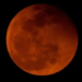 México tendrá por la madrugada del viernes la ‘Luna de Sangre’