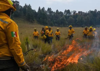 Realizan quema controlada en Edomex previo a temporada de incendios forestales