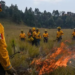 Realizan quema controlada en Edomex previo a temporada de incendios forestales