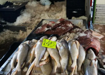 Sedeco estima en CDMX una derrama económica de mil 697 mdp Cuaresma 2025