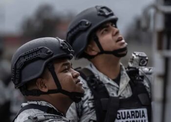 Operación Frontera Norte supera 29 toneladas de drogas aseguradas