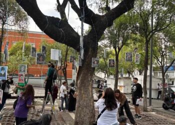 Madres buscadoras instalan El Árbol de la Esperanza en CDMX
