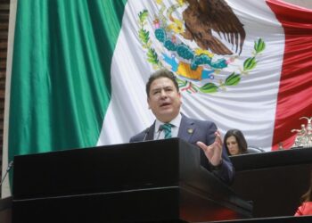 Partido Verde insistirá en eliminación del Buró de Crédito