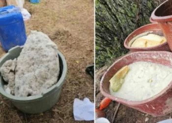 Aseguran narcolaboratorio en Otzolotepec, Edomex