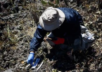Califica SRE de ‘inaceptable’ el señalamiento de la ONU sobre desapariciones sistemáticas